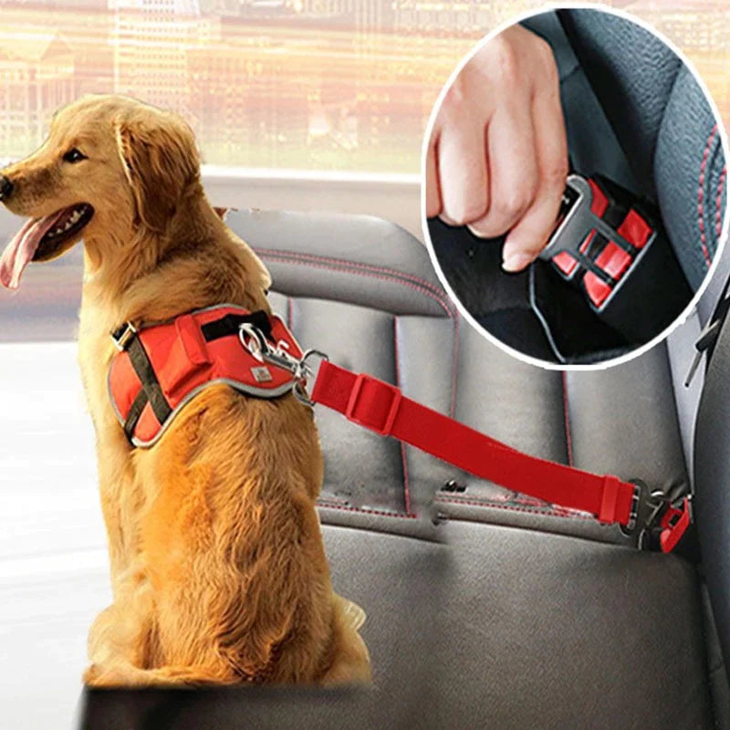 Seat belt for Pets 